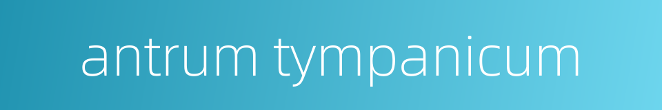 antrum tympanicum的同义词