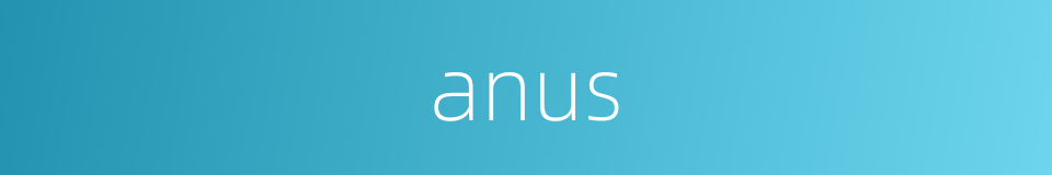 anus的同义词