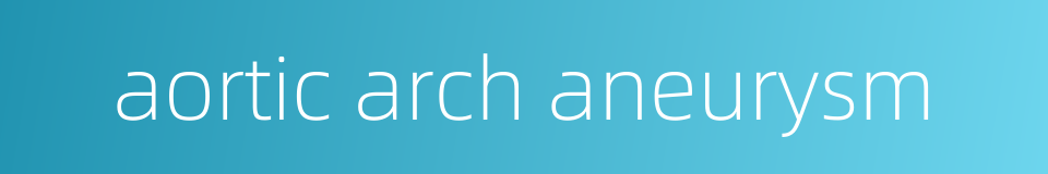 aortic arch aneurysm的同义词