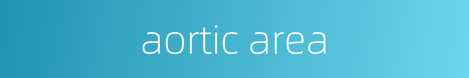 aortic area的同义词