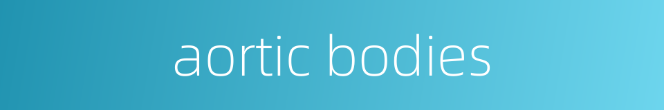 aortic bodies的同义词