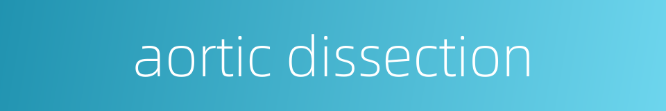 aortic dissection的同义词