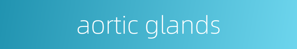 aortic glands的同义词