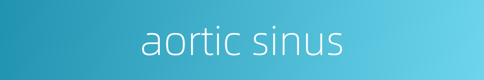 aortic sinus的同义词