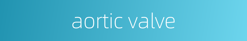 aortic valve的同义词