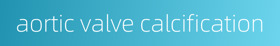 aortic valve calcification的同义词