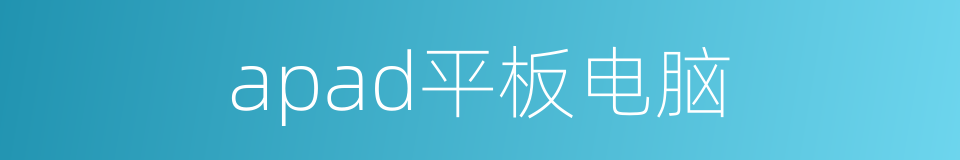 apad平板电脑的同义词