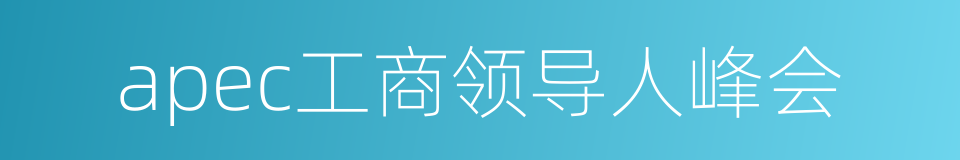 apec工商领导人峰会的同义词