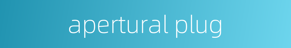 apertural plug的同义词
