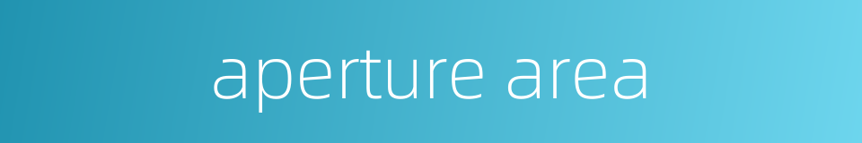aperture area的同义词