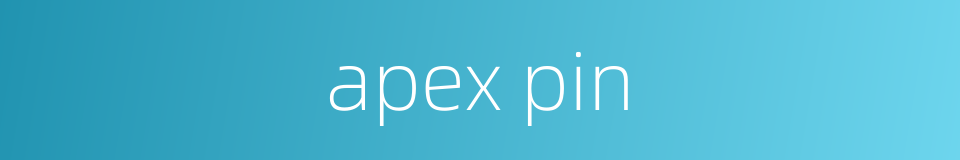 apex pin的同义词