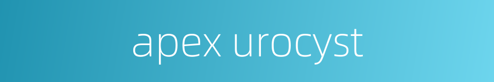 apex urocyst的同义词