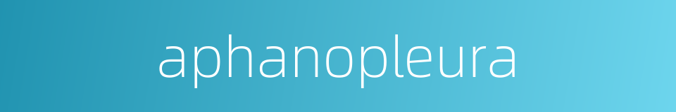 aphanopleura的同义词
