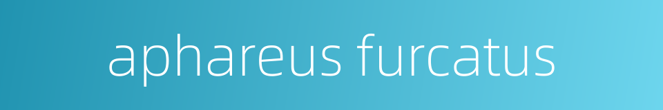 aphareus furcatus的同义词