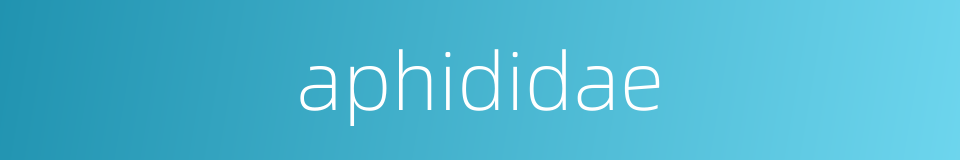 aphididae的同义词