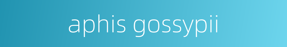 aphis gossypii的同义词