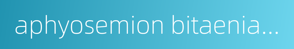 aphyosemion bitaeniatum的同义词