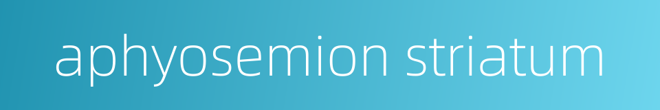 aphyosemion striatum的同义词