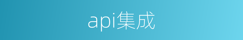 api集成的同义词