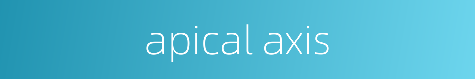 apical axis的同义词