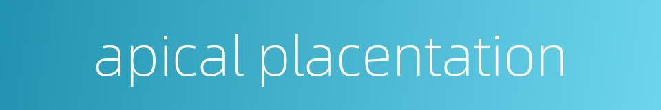 apical placentation的同义词