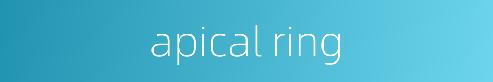 apical ring的同义词