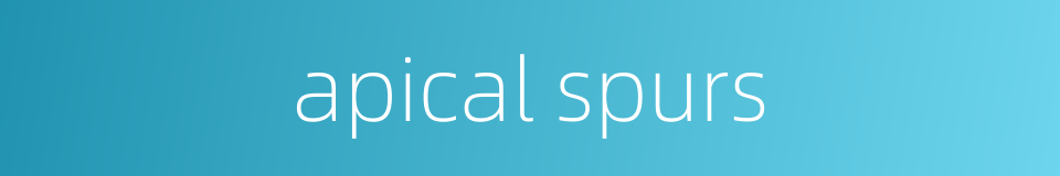 apical spurs的同义词