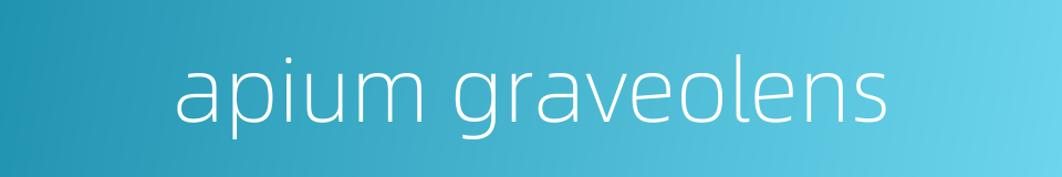 apium graveolens的同义词