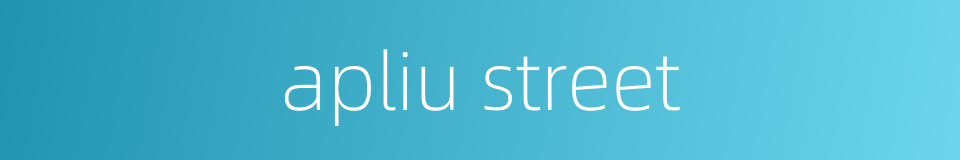 apliu street的同义词