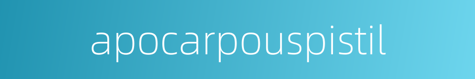 apocarpouspistil的同义词
