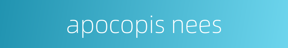 apocopis nees的同义词