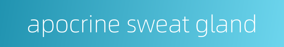 apocrine sweat gland的同义词
