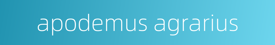apodemus agrarius的同义词
