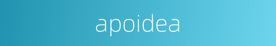 apoidea的同义词