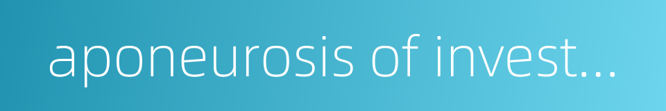 aponeurosis of investment的同义词