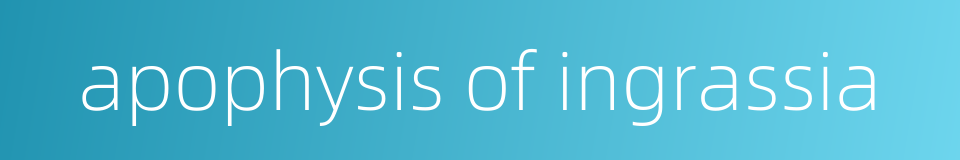 apophysis of ingrassia的同义词