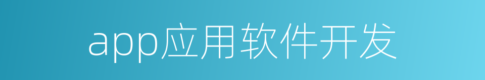 app应用软件开发的同义词