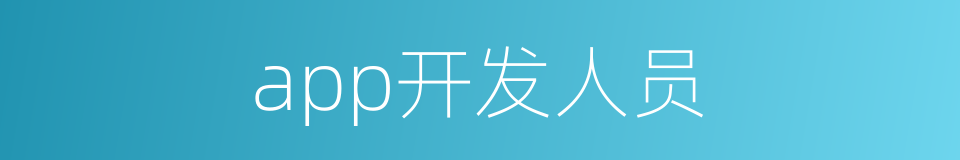 app开发人员的同义词