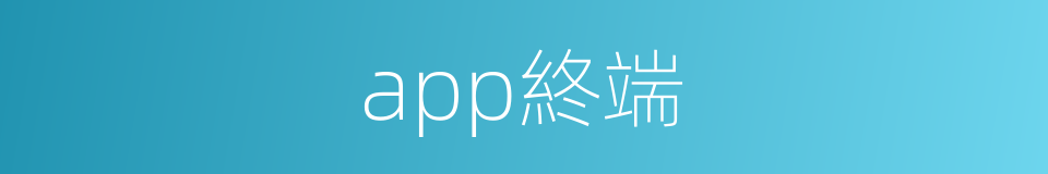 app終端的同義詞