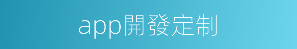 app開發定制的同義詞