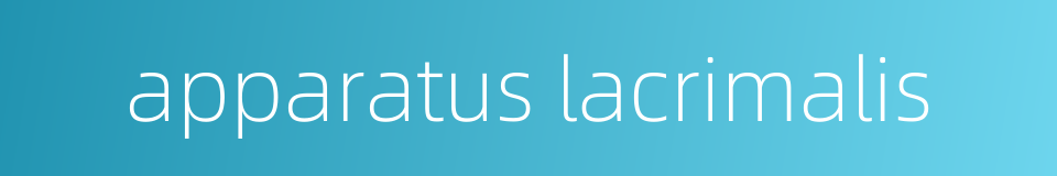 apparatus lacrimalis的同义词