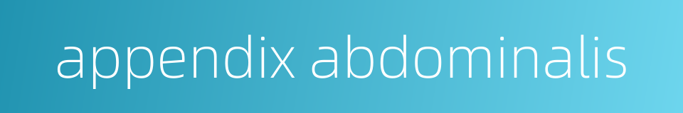 appendix abdominalis的同义词
