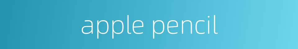apple pencil的同义词