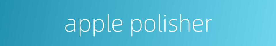 apple polisher的同义词
