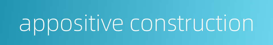 appositive construction的同义词