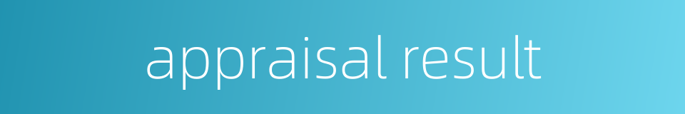 appraisal result的同义词