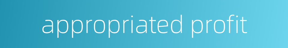 appropriated profit的同义词