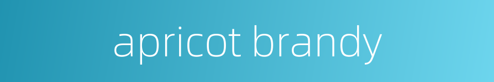 apricot brandy的同义词