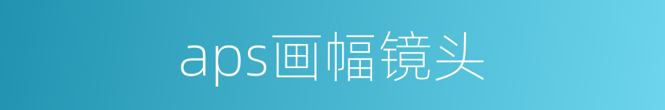 aps画幅镜头的同义词