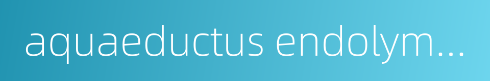 aquaeductus endolymphaticus的同义词